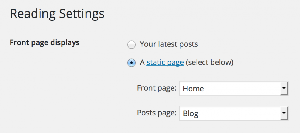 bravado-front-page-display