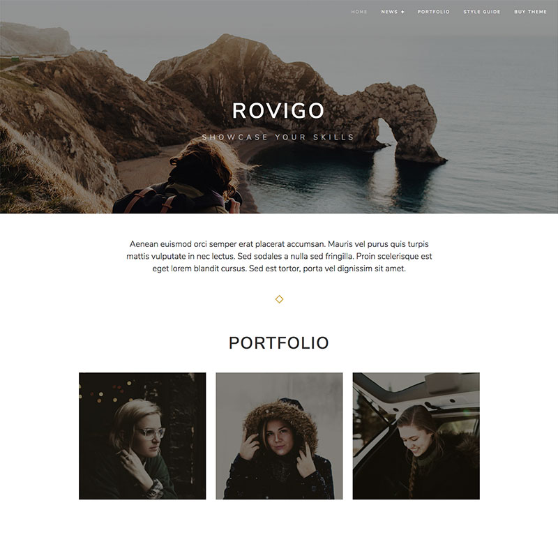 Rovigo: A Beautiful WordPress Portfolio Theme desktop screenshot